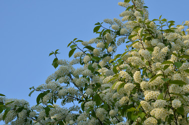 Similar image 22156226