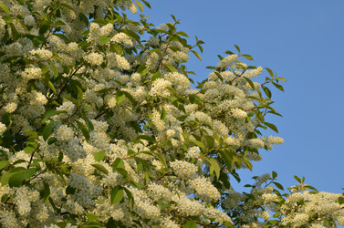 Similar image 22156227