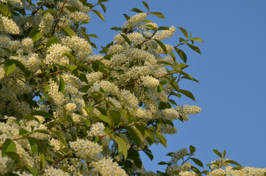 Similar image 22156228