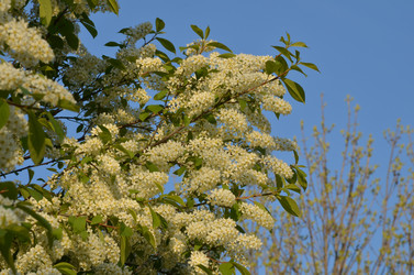 Similar image 22163812