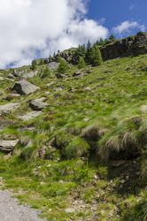 Similar image 22157819