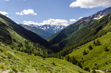 Similar image 22157820