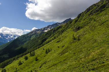 Similar image 22151517