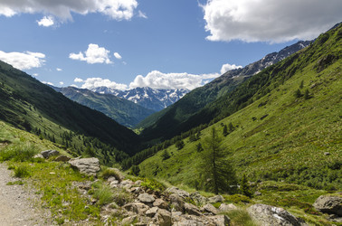 Similar image 22151521