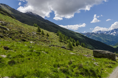 Similar image 22151526