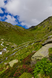 Similar image 22151528