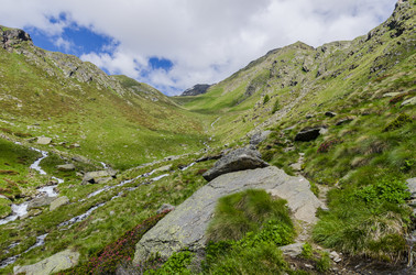 Similar image 22151532