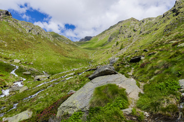 Similar image 22151651