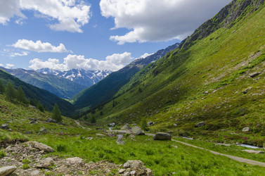 Similar image 22151654