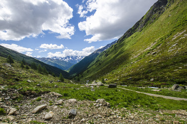 Similar image 22151656