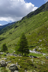 Similar image 22151663