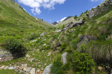 Similar image 22151668