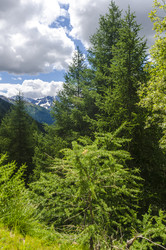 Similar image 22151672