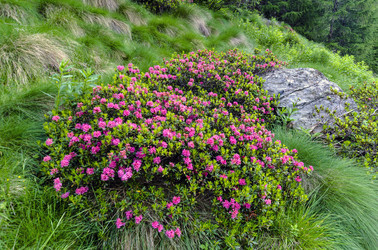 Similar image 22158730