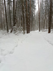 Similar image 22149381