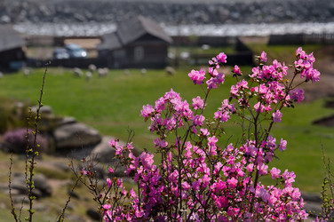 Similar image 22164010