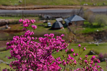 Similar image 22164011