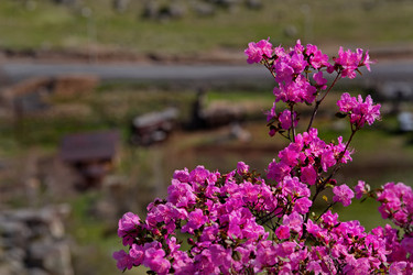 Similar image 22164012