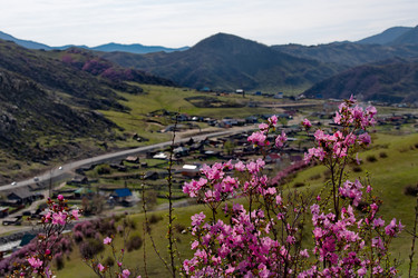 Similar image 22164014