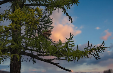 Similar image 22164015