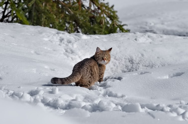 Similar image 22164016