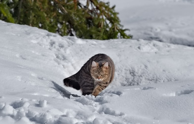 Similar image 22164019