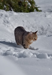 Similar image 22158739