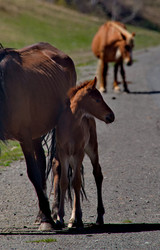 Similar image 22150121