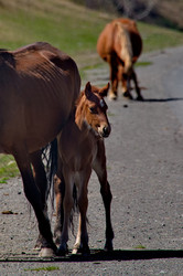 Similar image 22150122