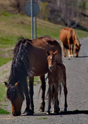 Similar image 22150123