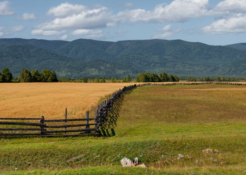 Similar image 22164021