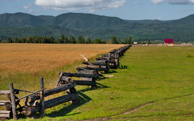 Similar image 22164022