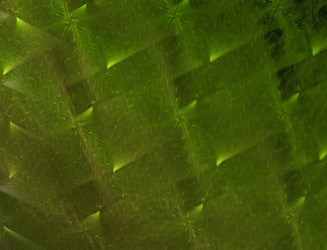 Similar image 22164567