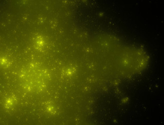 Similar image 22164568