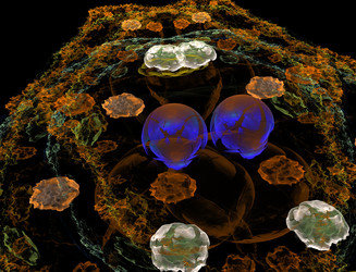 Similar image 22164934