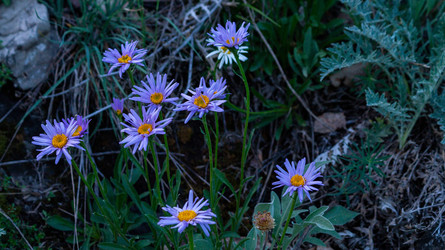 Similar image 22149989