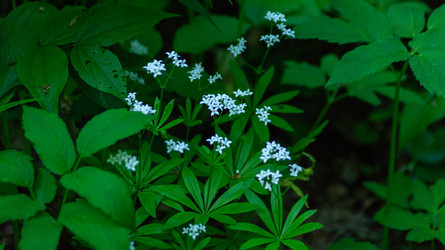 Similar image 22150506