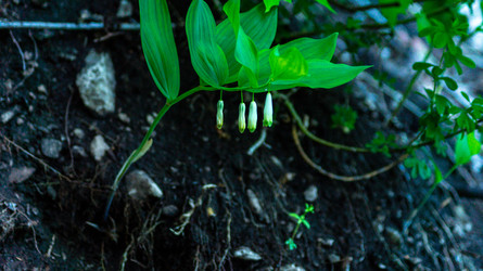 Similar image 22149990