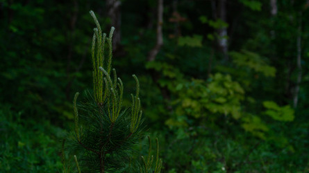 Similar image 22150005