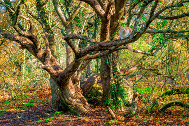 Similar image 22155839