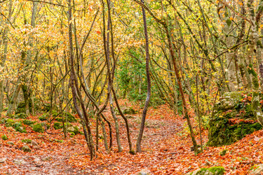 Similar image 22155841