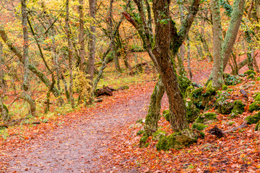 Similar image 22155845