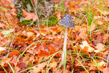 Similar image 22155849