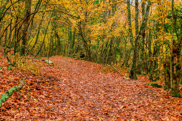 Similar image 22156040