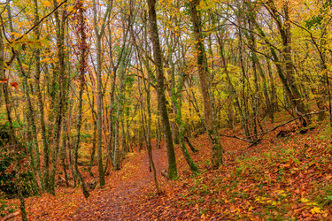 Similar image 22156048