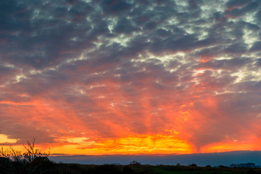 Similar image 22156061