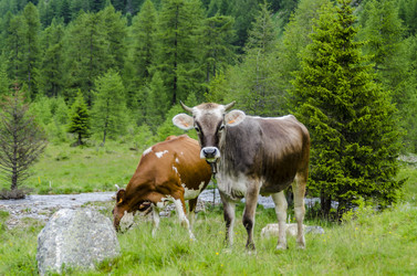 Similar image 22151683