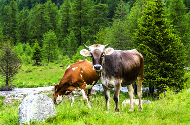 Similar image 22151686