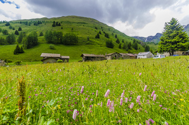 Similar image 22151822