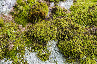 Similar image 22158748